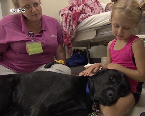 UC Davis Health - Huggie the Facility Dog